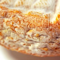 Brebis Génépi 300 gr. La montagne est dans ce fromage festif, alcool et lait de montagne se marient pour le plaisir des papilles. 