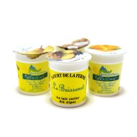 Yaourt aromatisé Panachés au lait Entier Pack 4x125 gr. Caramel , ananas , poire , noix de coco