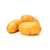 Les Pommes de terre nouvelle sont  produites à Vitrolles