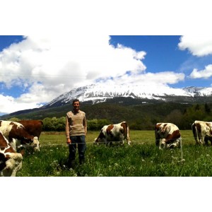 Fromages du Buissonet produits à Selonnet dans les Alpes de Haute-Provence