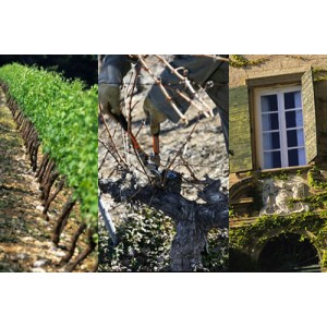 Situé à une douzaine de kilomètres d'Aix-en-Provence, sur le territoire de Puyricard, le Château du Seuil, XIIIème et XVIIème siècles, est une des très belles réussites architecturales de cette province.