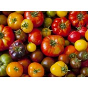Tomates anciennes - 1Kg