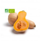 Courge Butternut BIO - pièce de 1Kg environ