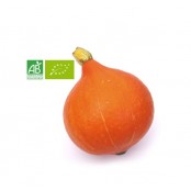 Courge Potimarron BIO - pièce de 900g à 1Kg 
