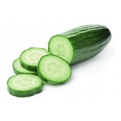 Concombre 