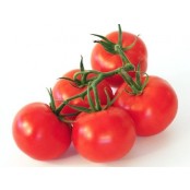 Tomates Grappe Sachet 1Kg