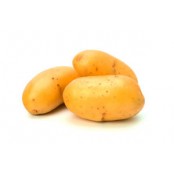 Les Pommes de terre nouvelle sont  produites à Vitrolles